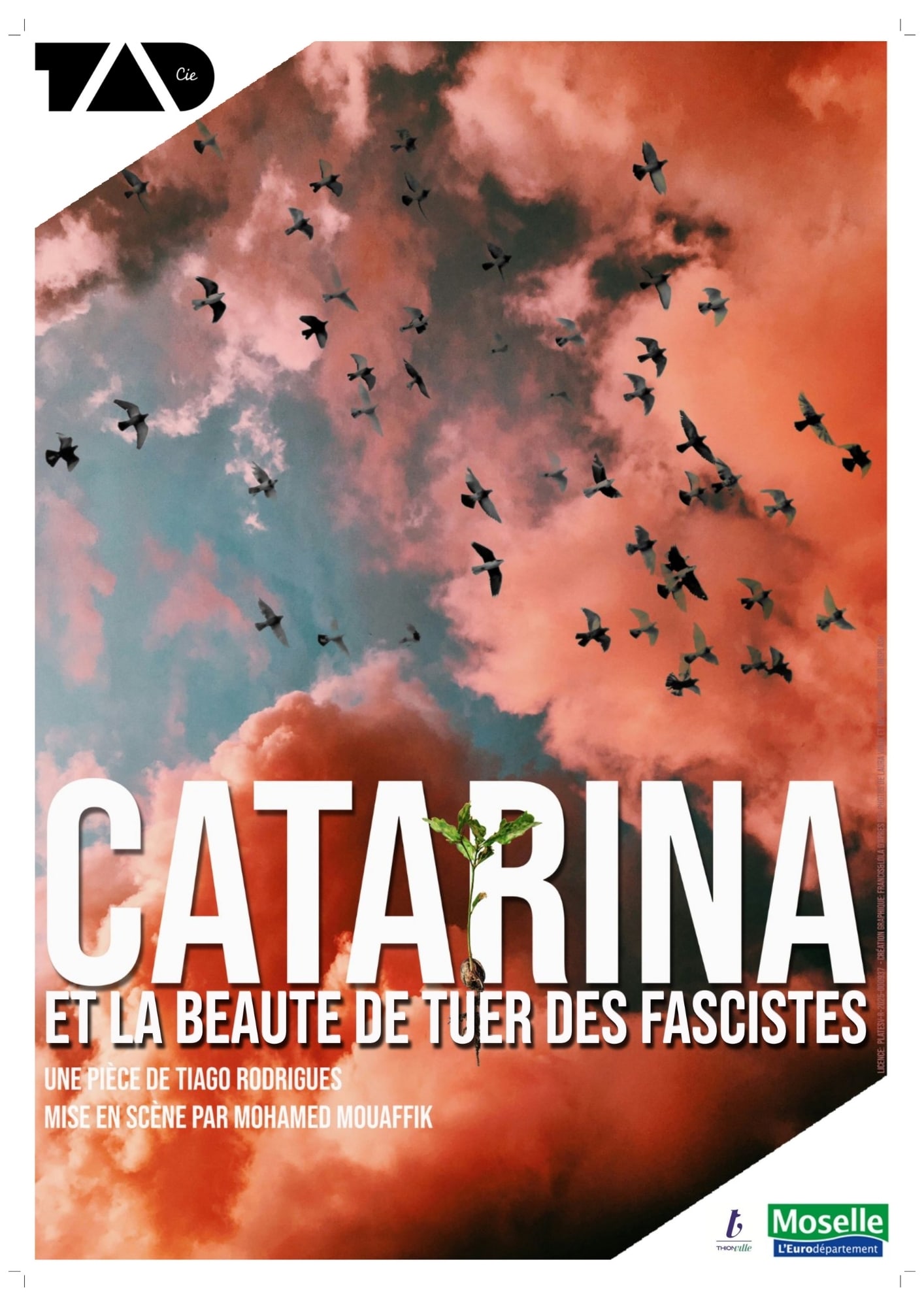 03_CATARINA-Recto